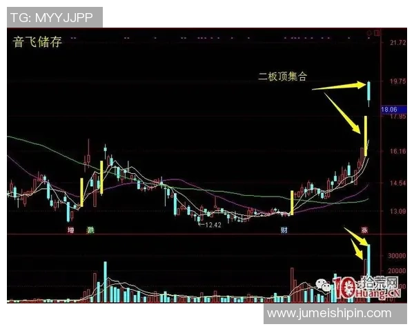 数据分析揭示北京篮球队在赛季中的力量表现与战术调整的深度探讨