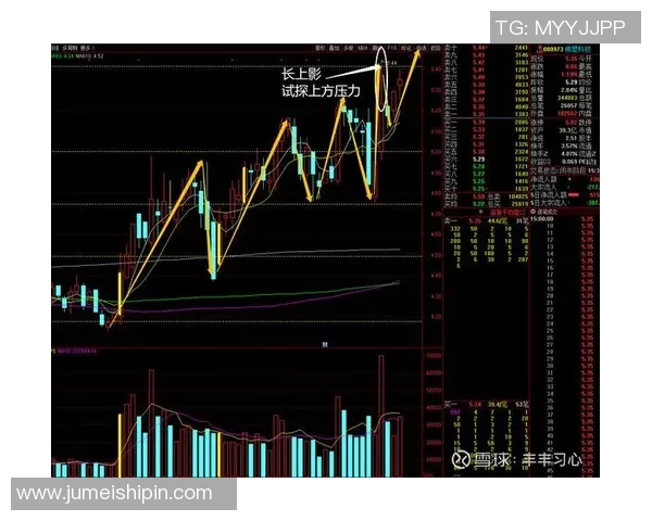 深圳羽毛球队与杭州羽毛球队赛后复盘分析比赛节奏与战术对比